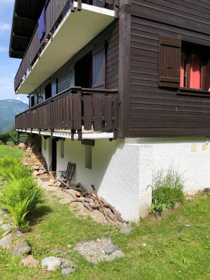 Appartement Cosy Au Pied Du Mtblanc Chamonix Kültér fotó