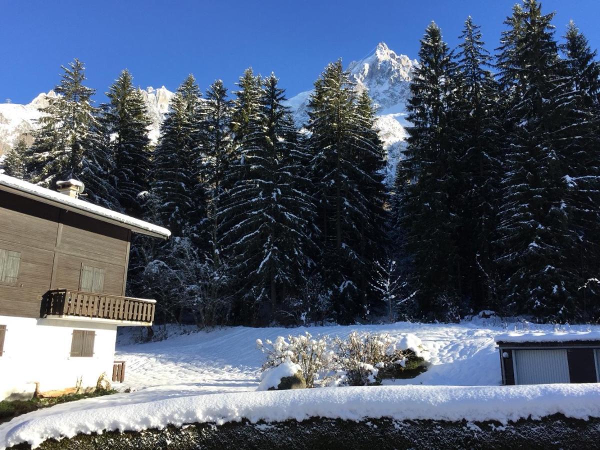Appartement Cosy Au Pied Du Mtblanc Chamonix Kültér fotó